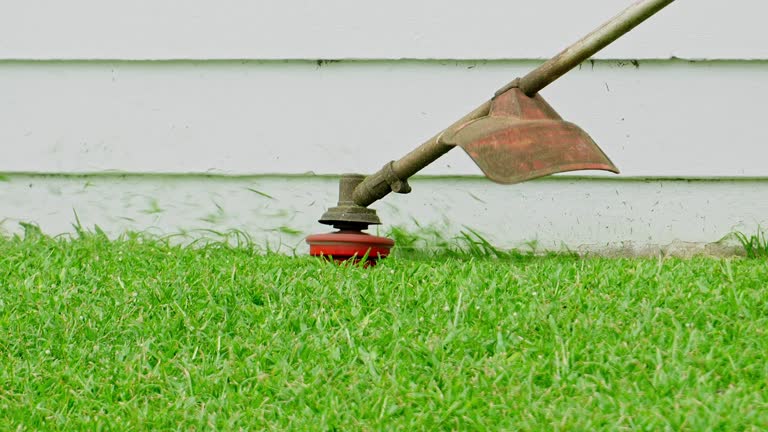 How Our Tree Care Process Works  in  Chiefland, FL